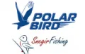 Polar Bird